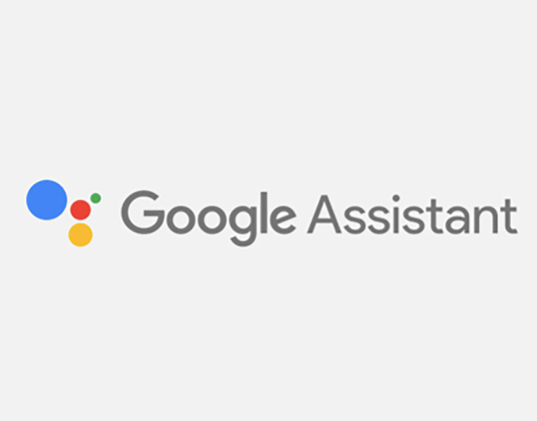 portfolio-item-google_assistant