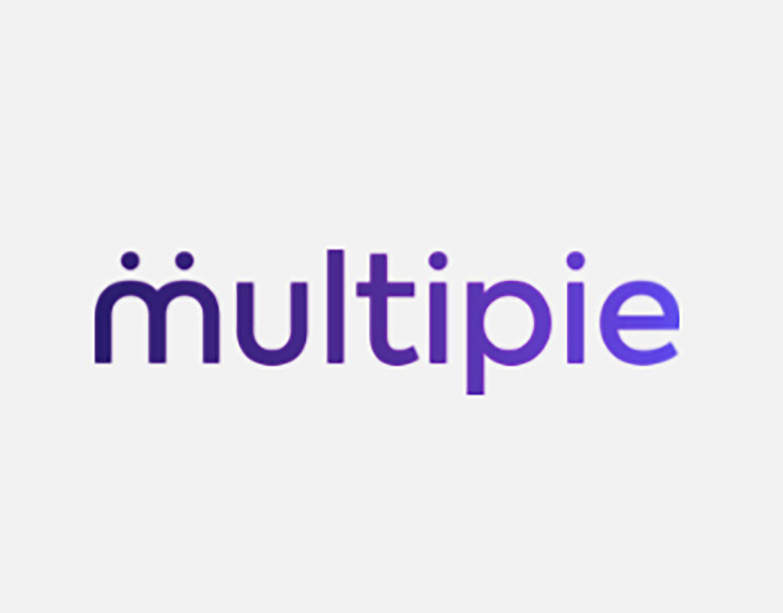portfolio-item-multipie