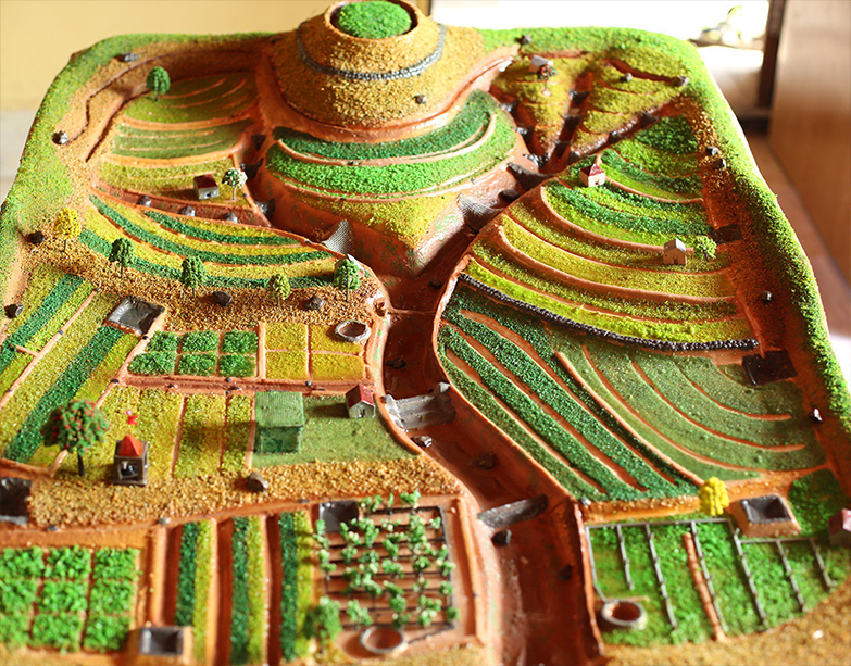 portfolio-item-paani